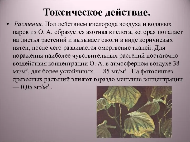 Токсическое действие. Растения. Под действием кислорода воздуха и водяных паров из