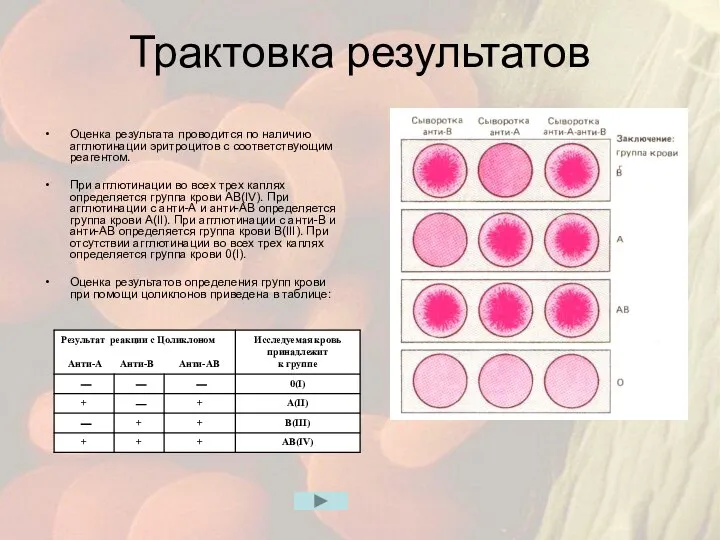 Трактовка результатов Оценка результата проводится по наличию агглютинации эритроцитов с соответствующим