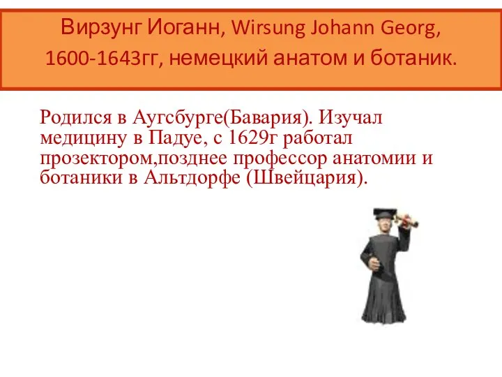 Вирзунг Иоганн, Wirsung Johann Georg, 1600-1643гг, немецкий анатом и ботаник. Родился