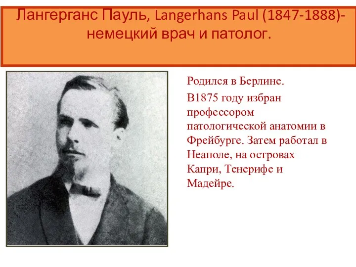 Лангерганс Пауль, Langerhans Paul (1847-1888)-немецкий врач и патолог. Родился в Берлине.