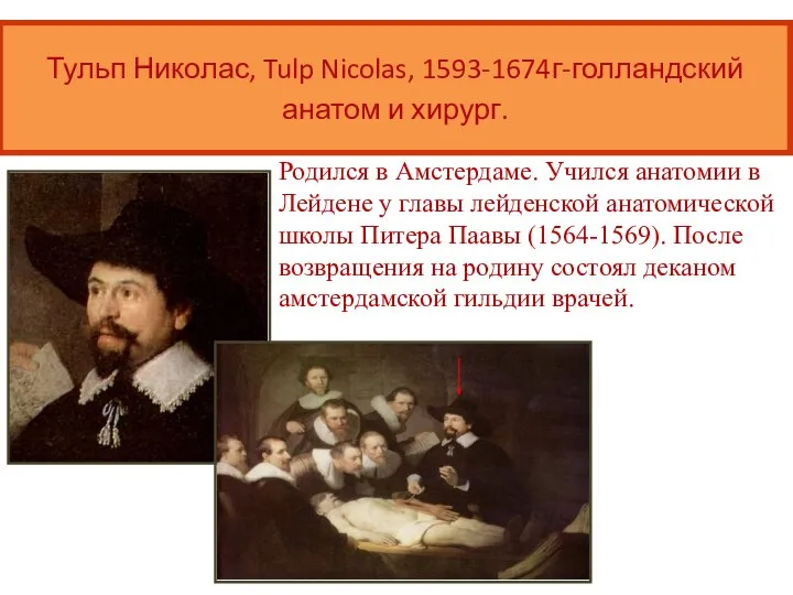 Родился в Амстердаме. Учился анатомии в Лейдене у главы лейденской анатомической