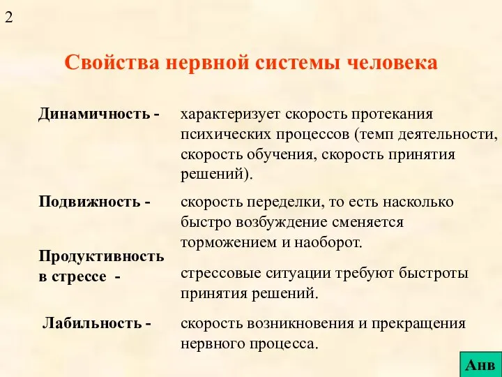 Свойства нервной системы человека Динамичность - характеризует скорость протекания психических процессов