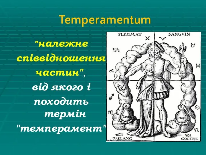 Temperamentum "належне співвідношення частин", від якого і походить термін "темперамент"