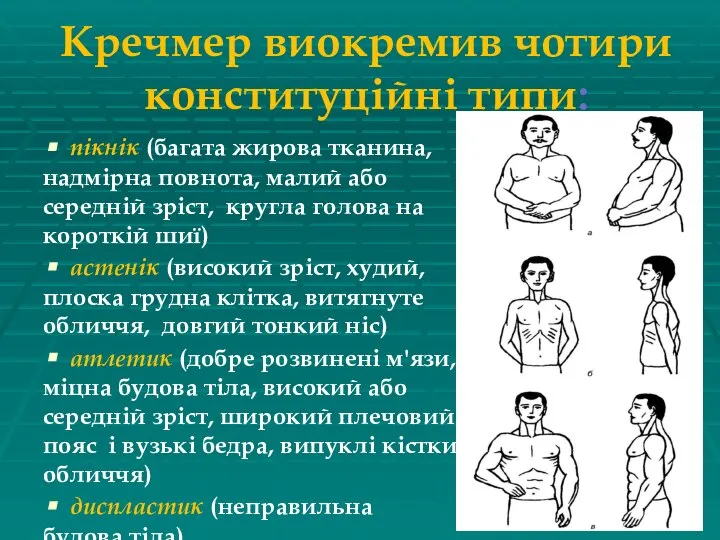 Кречмер виокремив чотири конституційні типи: пікнік (багата жирова тканина, надмірна повнота,