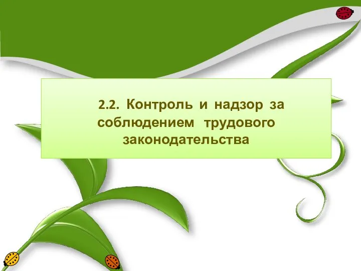 2.2. Контроль и надзор за соблюдением трудового законодательства