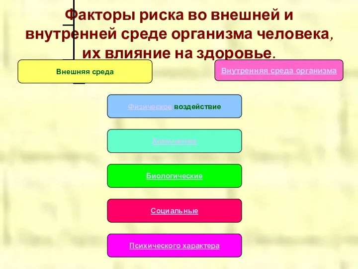 Факторы риска во внешней и внутренней среде организма человека, их влияние на здоровье. Внутренняя среда организма