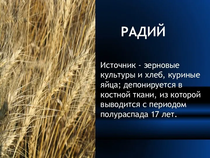 РАДИЙ Источник - зерновые культуры и хлеб, куриные яйца; депонируется в