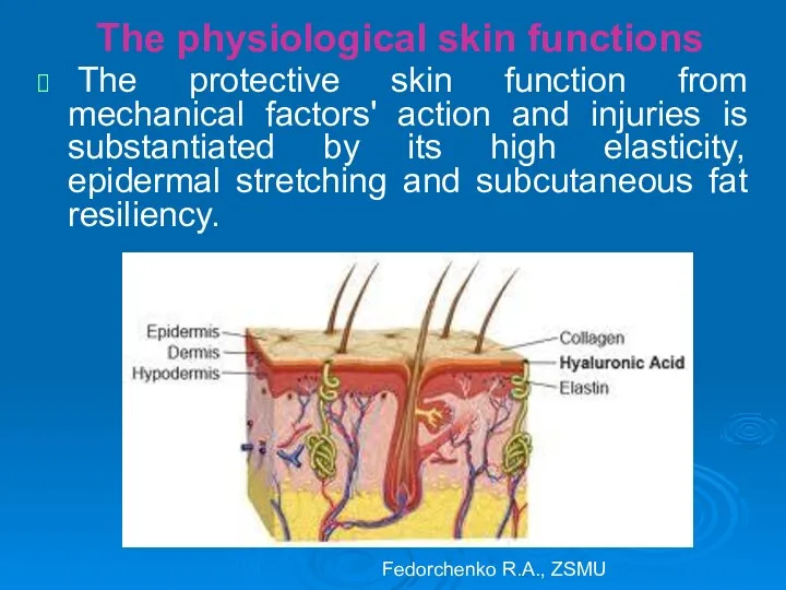 The physiological skin functions The protective skin function from mechanical factors'