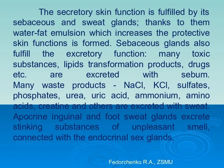 The secretory skin function is fulfilled by its sebaceous and sweat