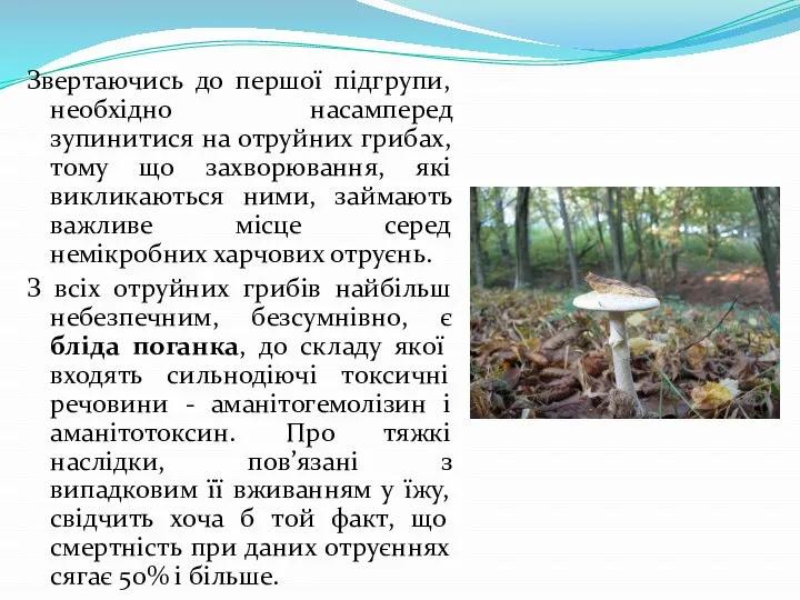 Звертаючись до першої підгрупи, необхідно насамперед зупинитися на отруйних грибах, тому