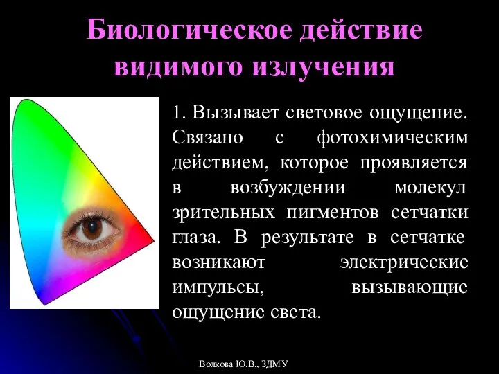 Биологическое действие видимого излучения 1. Вызывает световое ощущение. Связано с фотохимическим