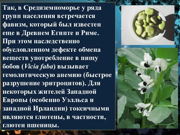 Так, в Средиземноморье у ряда групп населения встречается фавизм, который был