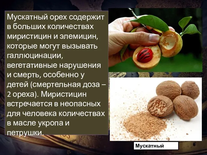 Мускатный орех содержит в больших количествах миристицин и элемицин, которые могут