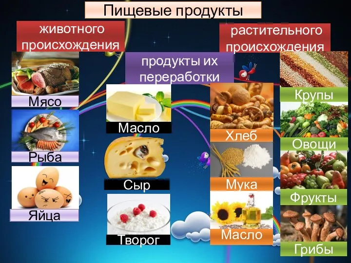 Пищевые продукты растительного происхождения животного происхождения продукты их переработки Сыр Масло