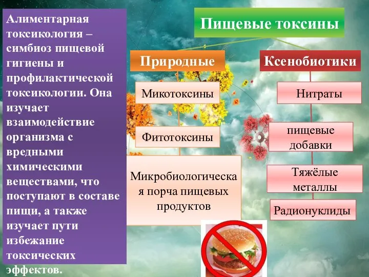 Пищевые токсины Фитотоксины пищевые добавки Микробиологическая порча пищевых продуктов Радионуклиды Природные