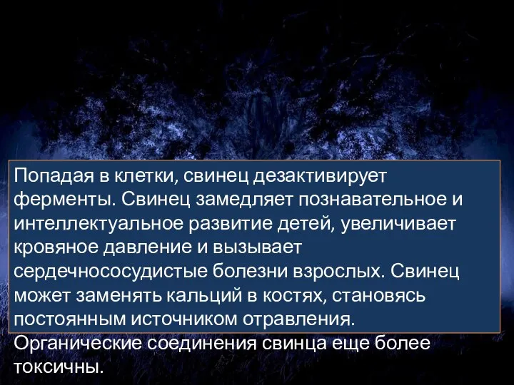 Попадая в клетки, свинец дезактивирует ферменты. Свинец замедляет познавательное и интеллектуальное