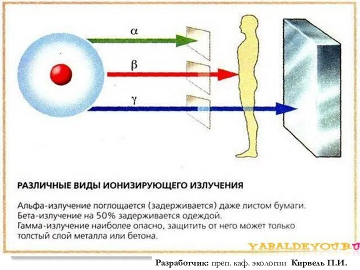 Разработчик: преп. каф. экологии Кирвель П.И.