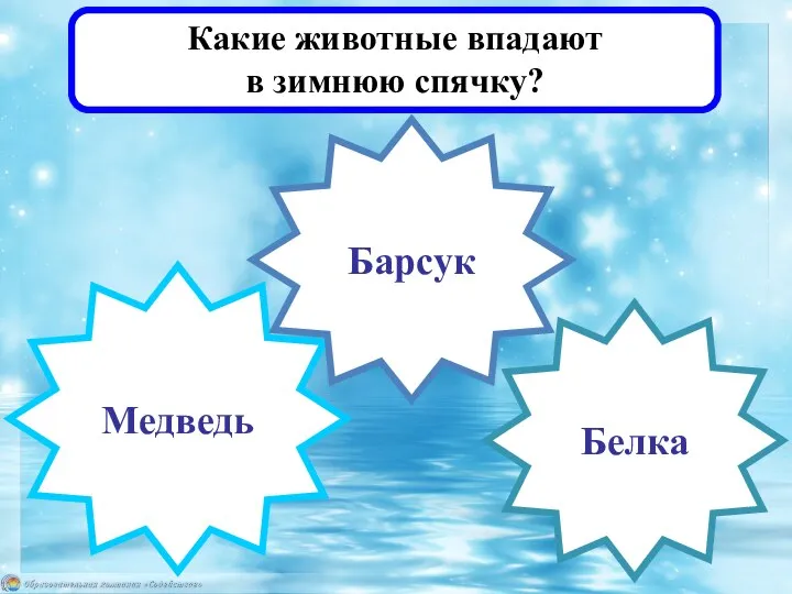 Какие животные впадают в зимнюю спячку? Белка Медведь Барсук