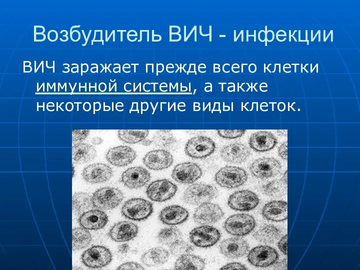 Возбудитель ВИЧ - инфекции ВИЧ заражает прежде всего клетки иммунной системы,