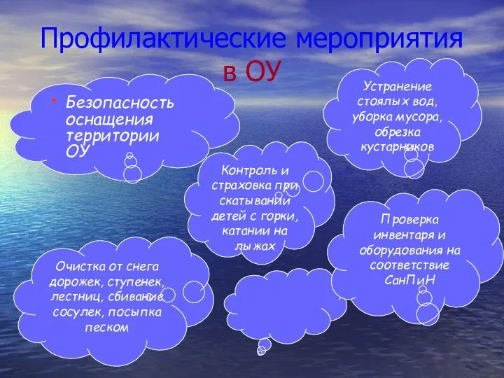 Профилактические мероприятия в ОУ Устранение стоялых вод, уборка мусора, обрезка кустарников