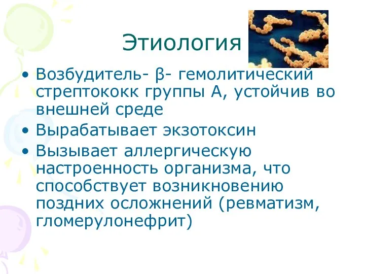 Этиология Возбудитель- β- гемолитический стрептококк группы А, устойчив во внешней среде