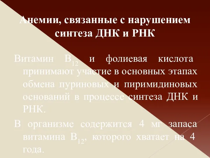 Витамин В12 и фолиевая кислота принимают участие в основных этапах обмена