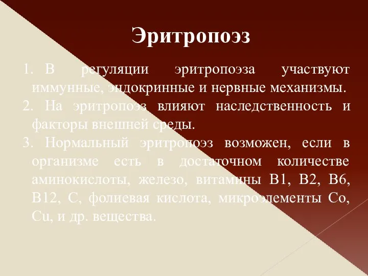 Эритропоэз В регуляции эритропоэза участвуют иммунные, эндокринные и нервные механизмы. На