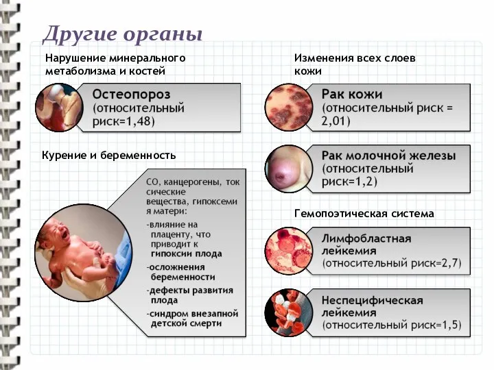 Другие органы Нарушение минерального метаболизма и костей Изменения всех слоев кожи Гемопоэтическая система Курение и беременность