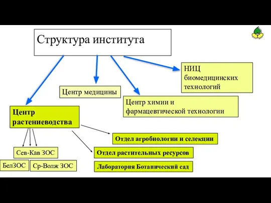 Структура института Центр растениеводства Центр химии и фармацевтической технологии Центр медицины