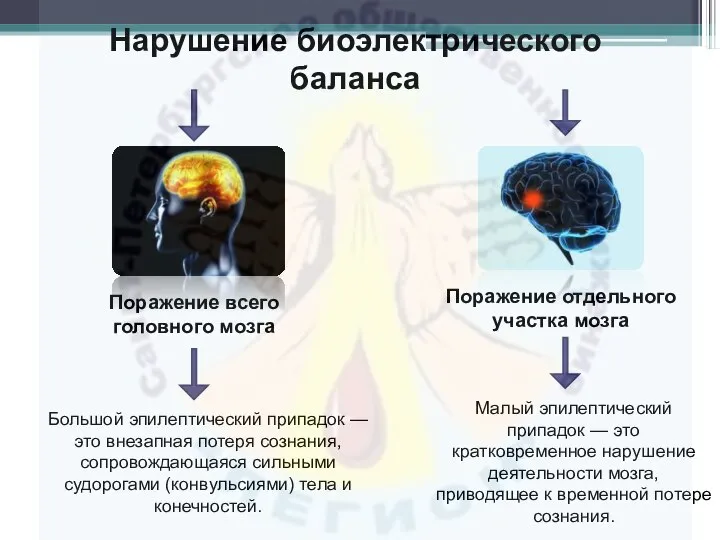 Нарушение биоэлектрического баланса Поражение всего головного мозга Поражение отдельного участка мозга