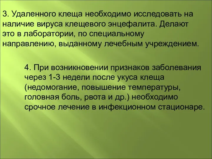 3. Удаленного клеща необходимо исследовать на наличие вируса клещевого энцефалита. Делают