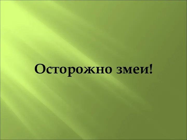 Осторожно змеи!