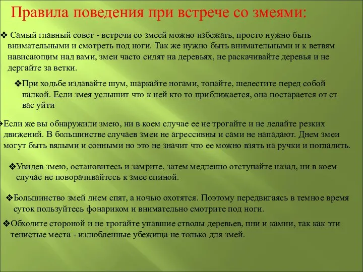 Правила поведения при встрече со змеями: Самый главный совет - встречи