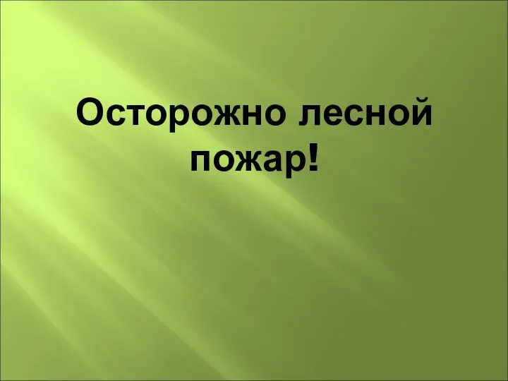 Осторожно лесной пожар!