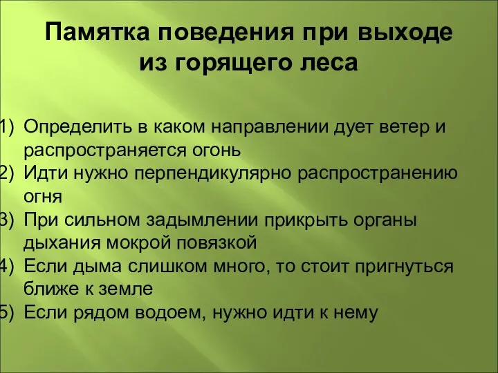 Памятка поведения при выходе из горящего леса Определить в каком направлении