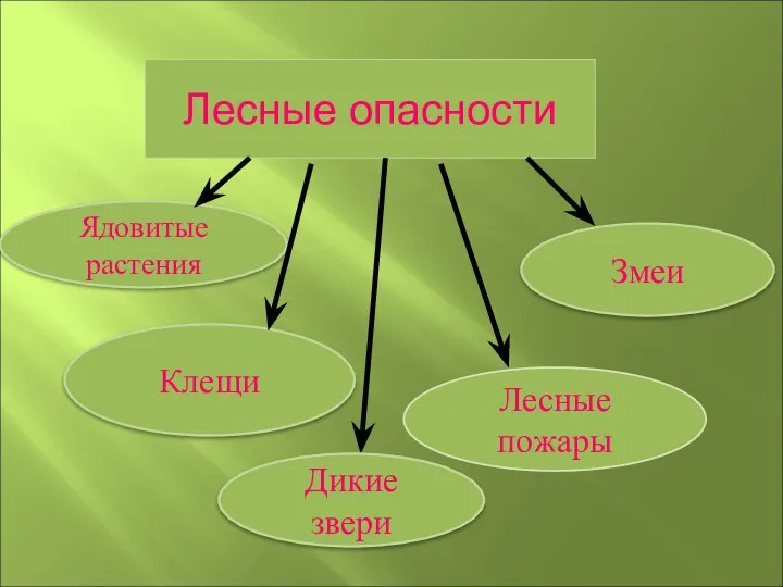 Лесные опасности Ядовитые растения Клещи Змеи Лесные пожары Дикие звери