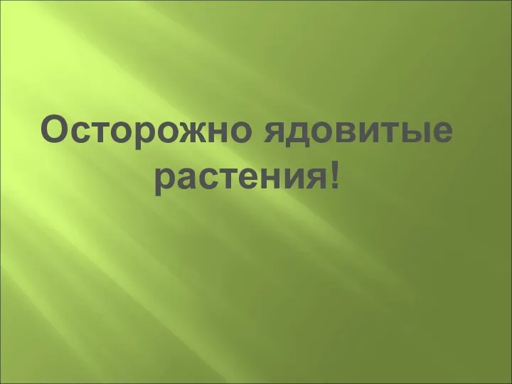 Осторожно ядовитые растения!