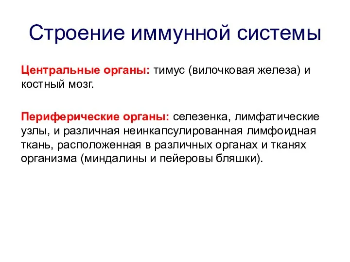 Строение иммунной системы Центральные органы: тимус (вилочковая железа) и костный мозг.