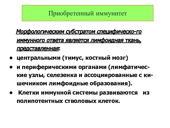 Морфологическим субстратом специфическо-го иммунного ответа является лимфоидная ткань, представленная: центральными (тимус,