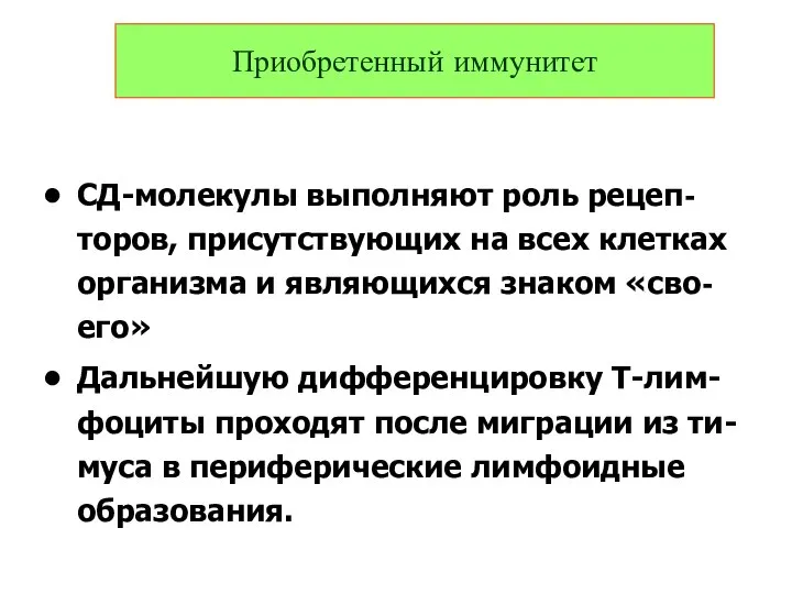 СД-молекулы выполняют роль рецеп-торов, присутствующих на всех клетках организма и являющихся