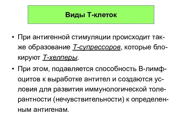 Виды Т-клеток При антигенной стимуляции происходит так-же образование Т-супрессоров, которые бло-кируют