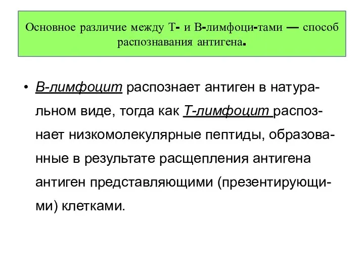 Основное различие между Т- и В-лимфоци-тами — способ распознавания антигена. В-лимфоцит