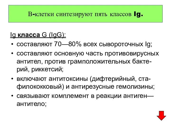 В-клетки синтезируют пять классов Ig. Ig класса G (IgG): составляют 70—80%