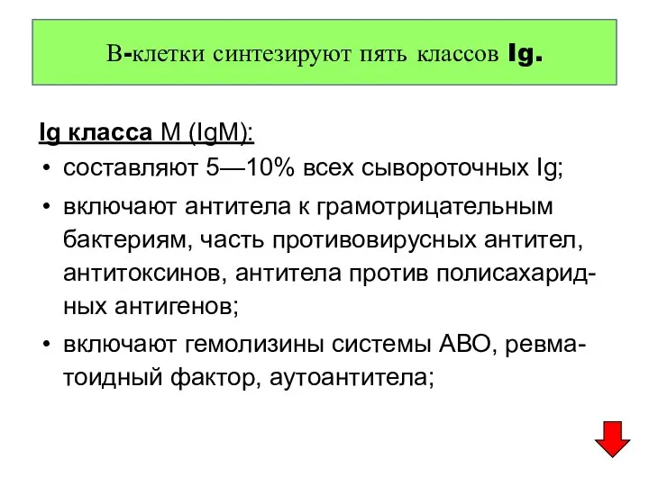 Ig класса М (IgM): составляют 5—10% всех сывороточных Ig; включают антитела