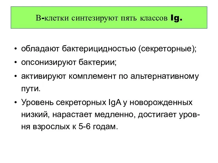 обладают бактерицидностью (секреторные); опсонизируют бактерии; активируют комплемент по альтернативному пути. Уровень