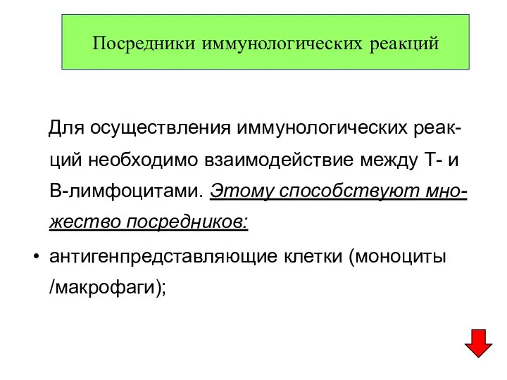 Посредники иммунологических реакций Для осуществления иммунологических реак-ций необходимо взаимодействие между Т-