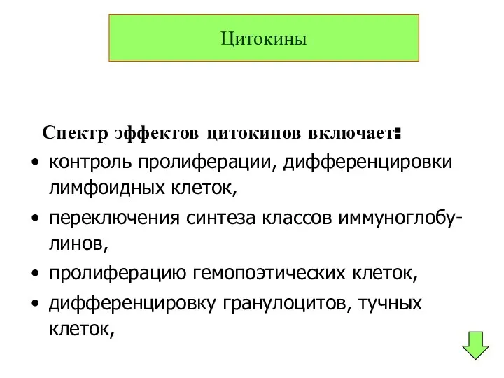 Спектр эффектов цитокинов включает: контроль пролиферации, дифференцировки лимфоидных клеток, переключения синтеза