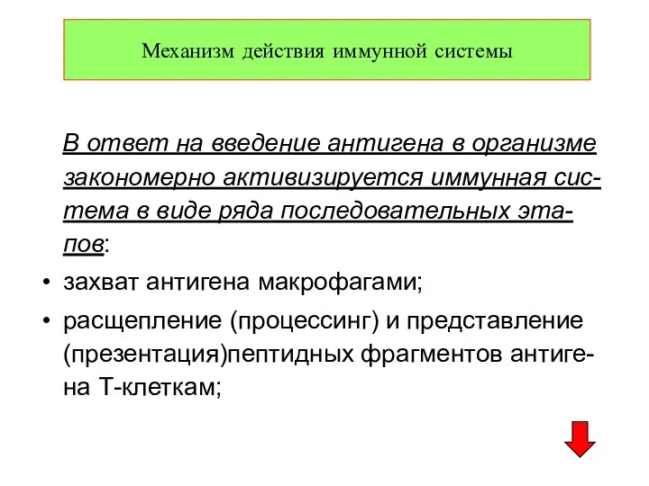 В ответ на введение антигена в организме закономерно активизируется иммунная сис-тема