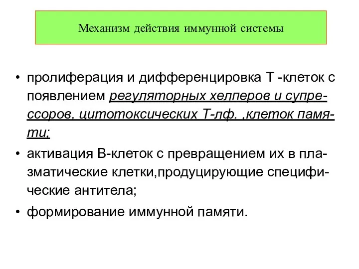 пролиферация и дифференцировка Т -клеток с появлением регуляторных хелперов и супре-ссоров,