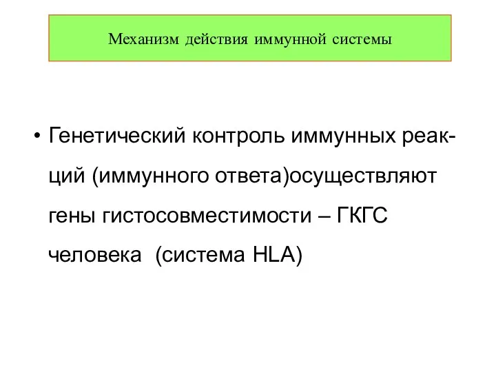 Генетический контроль иммунных реак-ций (иммунного ответа)осуществляют гены гистосовместимости – ГКГС человека